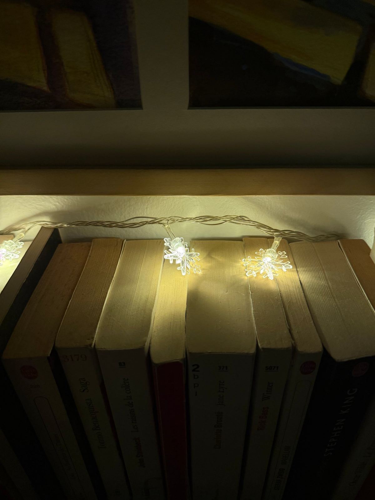 Fairy LED String Lights-Letifly Lights and Decor