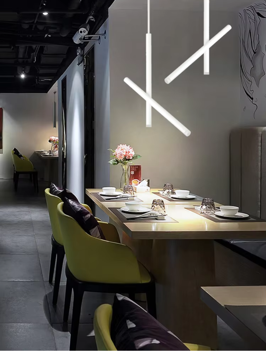 LED ceiling light adjustable dual spotlight modern matte metal