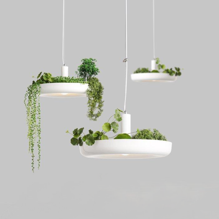 Natura Pendant Light