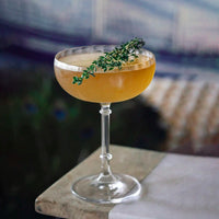 ribbed glass cocktail coupe handmade clear borosilicate stemware