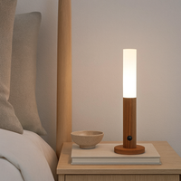 bed-side-Ultra-USB-Battery-Rechargeable-Wall-Light-Final-Sale-4
