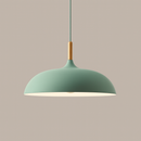 green pastel metal pendant light with wood detail – flat sphere shape