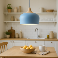 soft_pastel_dome_pendant_light_letifly_blue