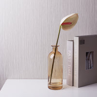 Transparent Flower Glass Vase for Decoration